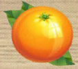 http://orangejuiceblog.com/2009/12/cspan-broadcast-of-steven-greenhuts-book-signing-and-commentary-pillage/comment-page-1/